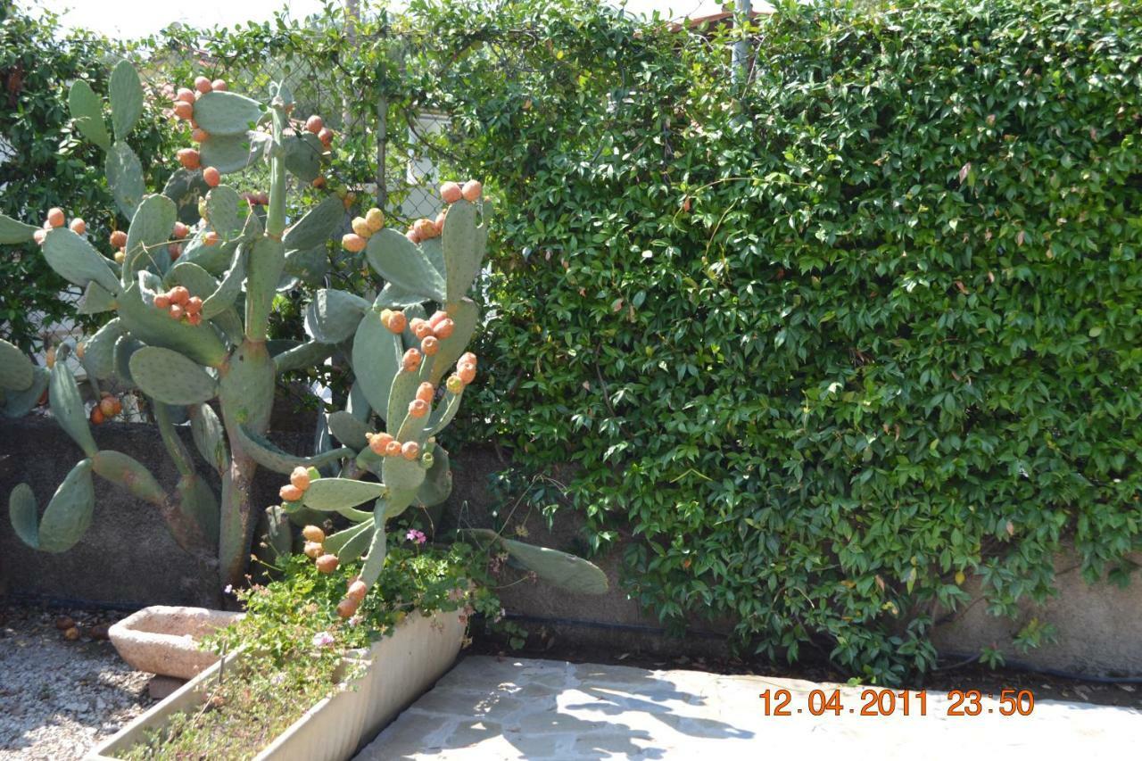Oasi Peppa Vila Ascea Exterior foto
