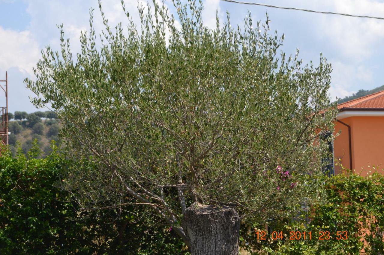 Oasi Peppa Vila Ascea Exterior foto